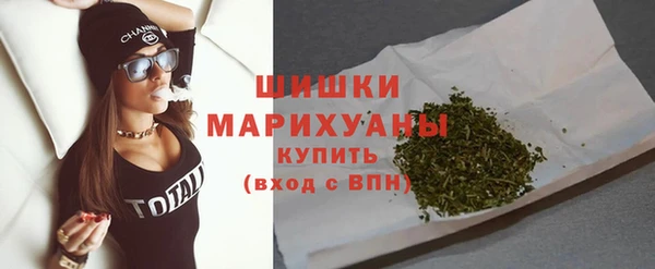 дурь Бронницы