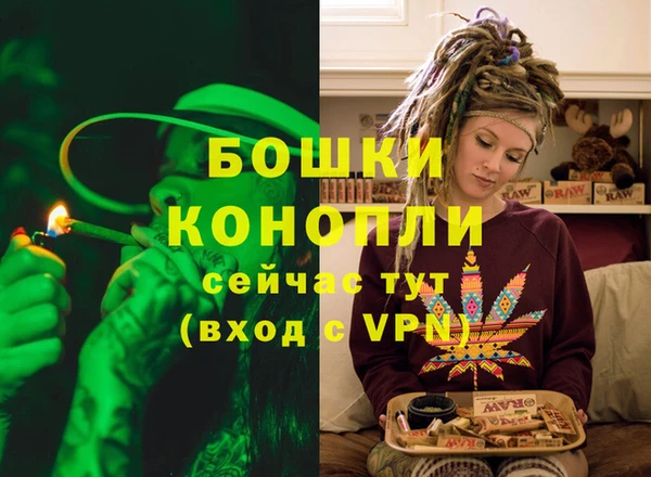 молекула духа Бугульма