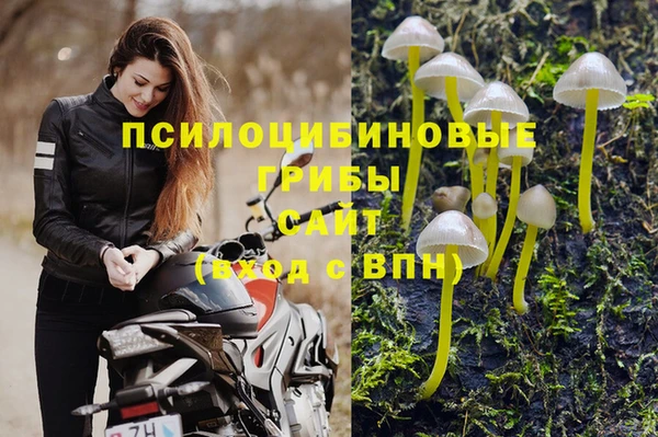 дурь Бронницы