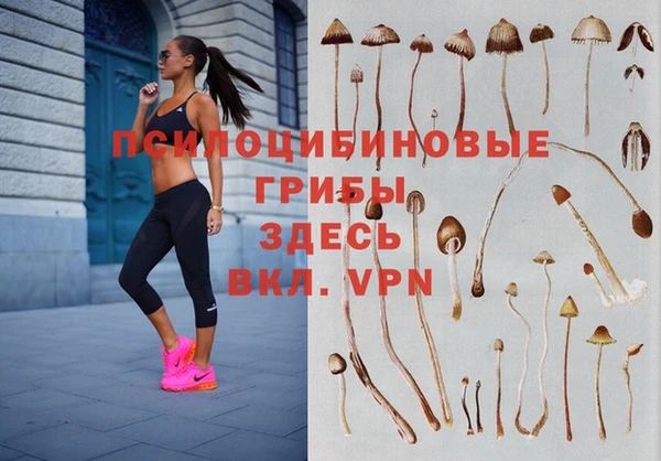 каннабис Бородино