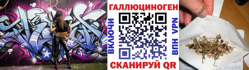 Псилоцибиновые грибы Psilocybe  Карачев 